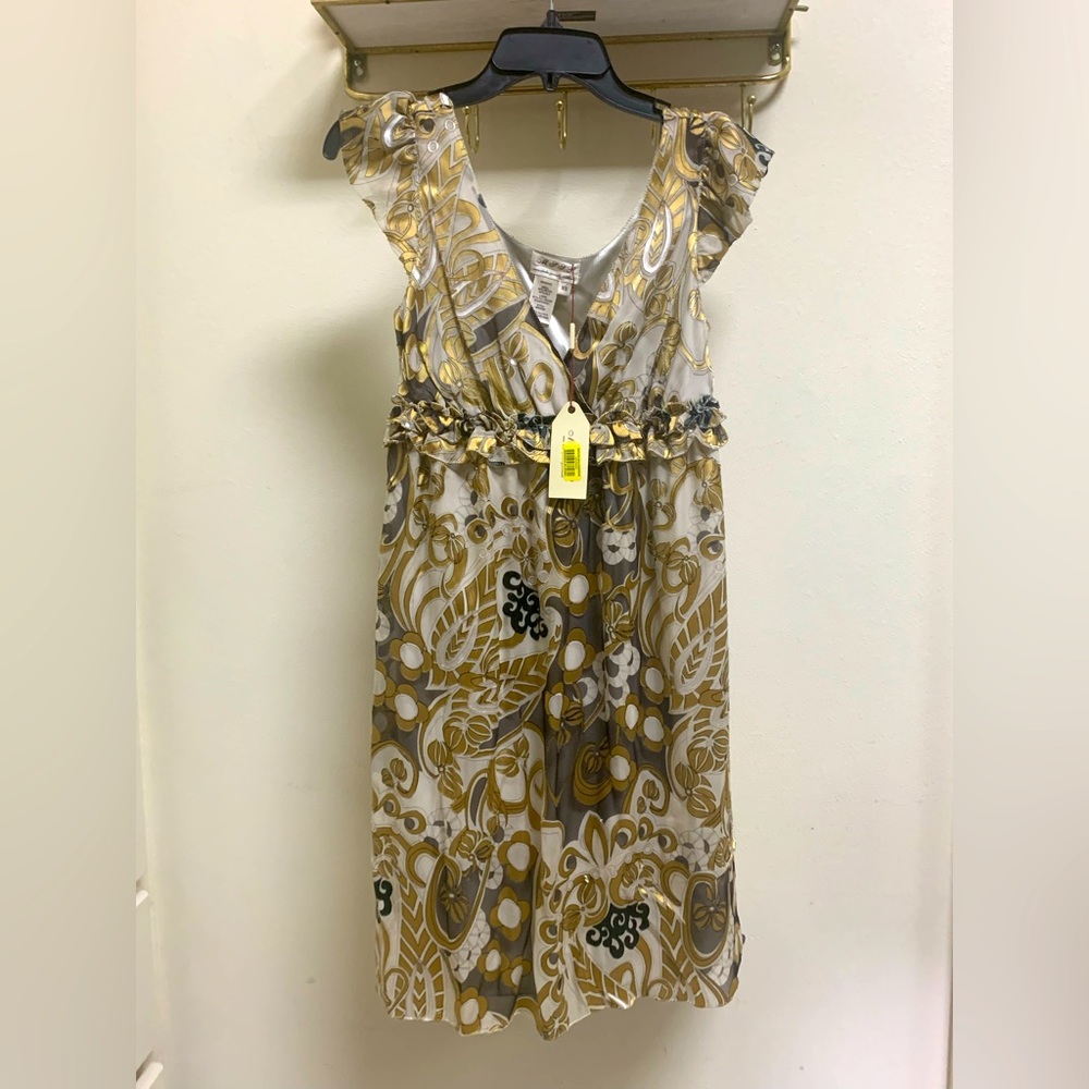 M.S.S.P. Max Studio Specialty Products Silk/Rayon Dress